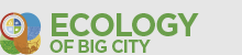 Ecology of Big City