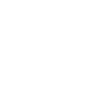 Evolution Fair