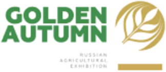 Goldener Herbst / Golden Autumn